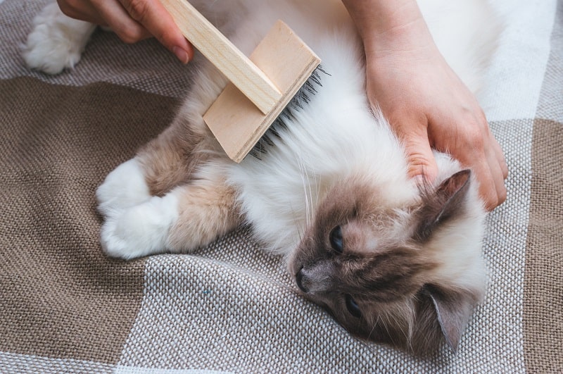 controlar a queda de cabelo