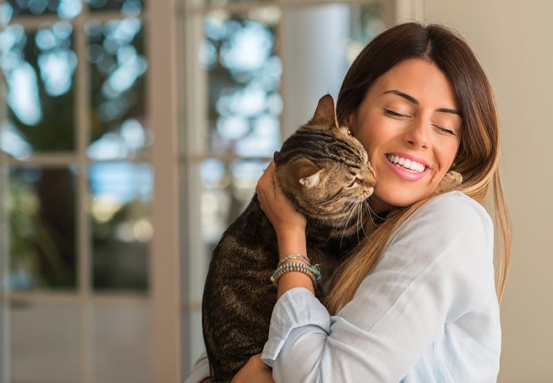 Os gatos sofrem de demência como os humanos?