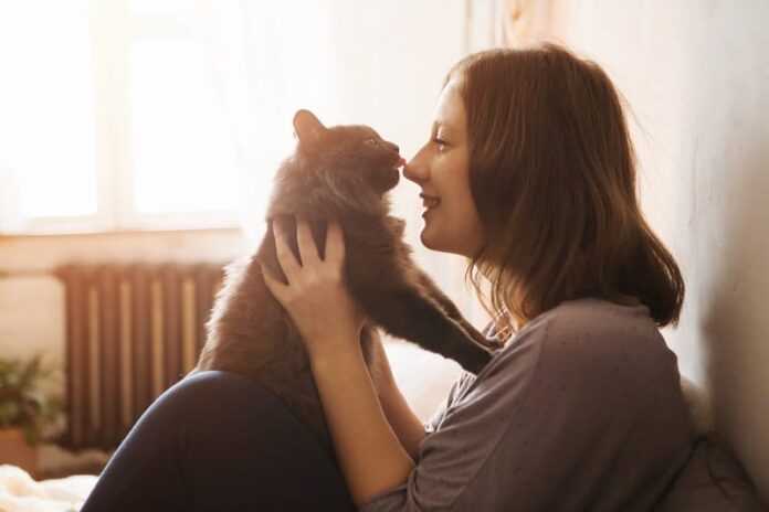 Como se comunicar com o gato