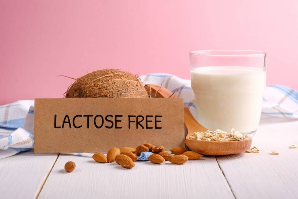 Marcas de leite sem lactose que são boas para gatos 