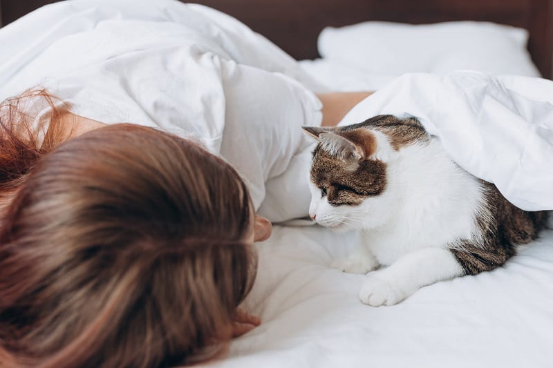 Por que meu gato cheira meu rosto enquanto dorme?