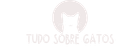 Tudo sobre Gatos